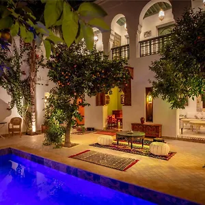 https://riad-les-cigognes.marrakeshhotelsmorocco.com